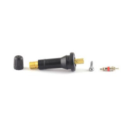 TPMS Valve Snap-in x10 pcs (SKA971)