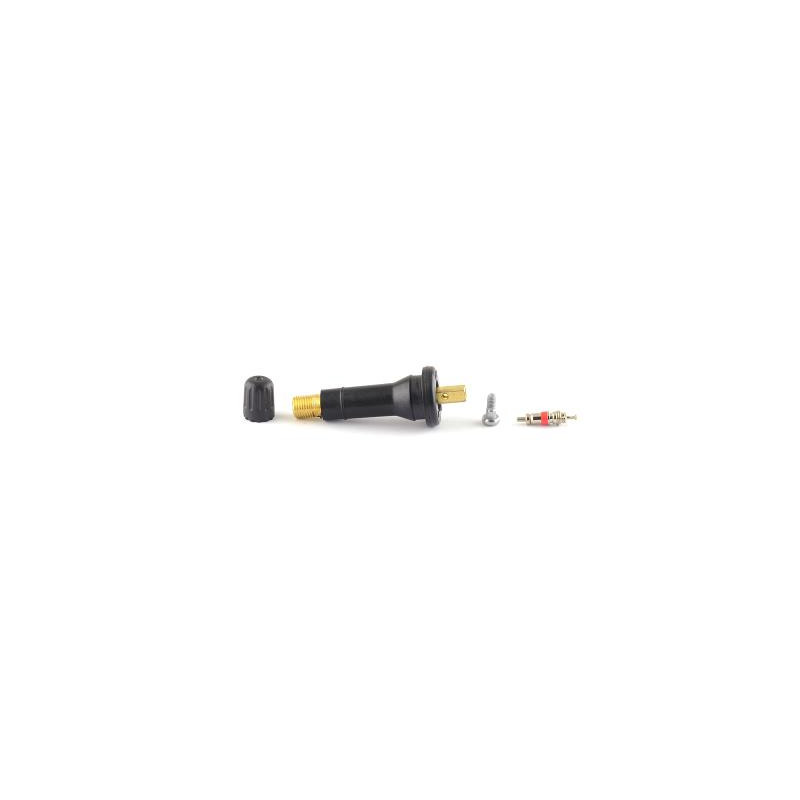 TPMS Valve Snap-in x10 pcs (SKA971)