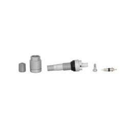 TPMS Valve Clamp-in Silver x10 pcs (SKA970)
