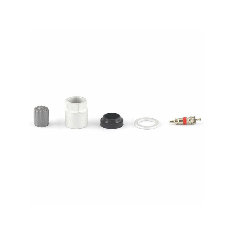 TPMS ServiceKit Pacific LFB1/LFC1 x10 (SKA919, 6-116T)