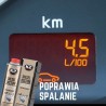 PURKŠTUKŲ VALIKLIS "DIESEL DICTUM" 500ML