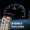 PURKŠTUKŲ VALIKLIS "DIESEL DICTUM" 500ML