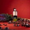 ORO GAIVIKLIAI K2 VENTO SOLO IMPRESSIVE MIX