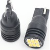 LEMPUTĖS W5W T10 LED 6SMD 12V (2VNT)