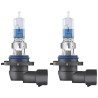 OSRAM LEMPUTĖS HB3 60W 12V P20D