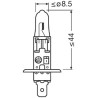 OSRAM LEMPUTĖS H1 12V 80W