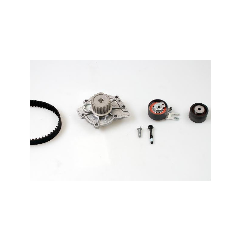 PK09800-HEPU