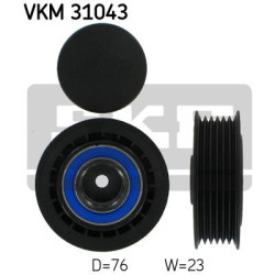 VKM 31043