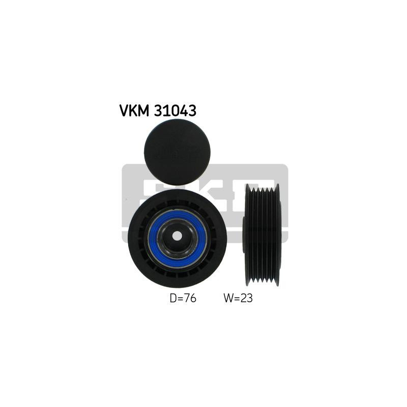 VKM 31043