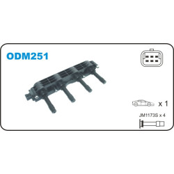 ODM251-JANMOR