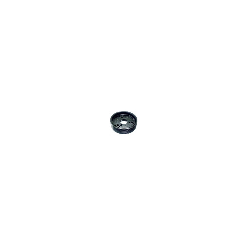 4009P0