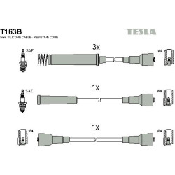 T163B-TESLA
