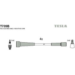 T709B-TESLA