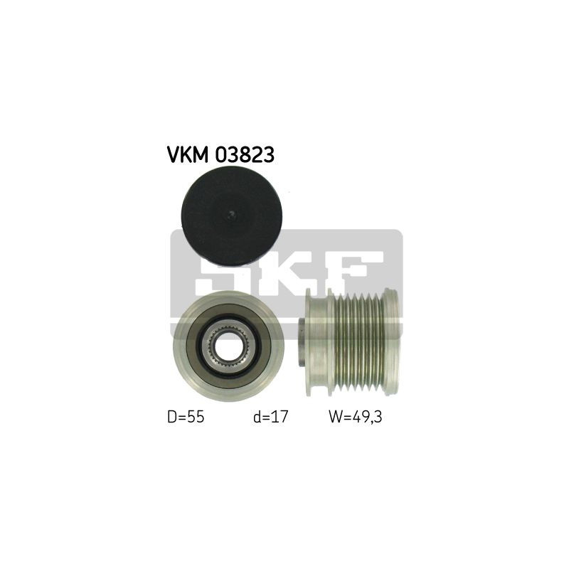 VKM 03823