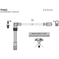 T594C-TESLA