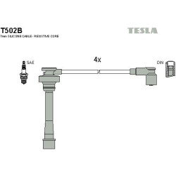 T502B-TESLA