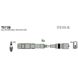 T073B-TESLA