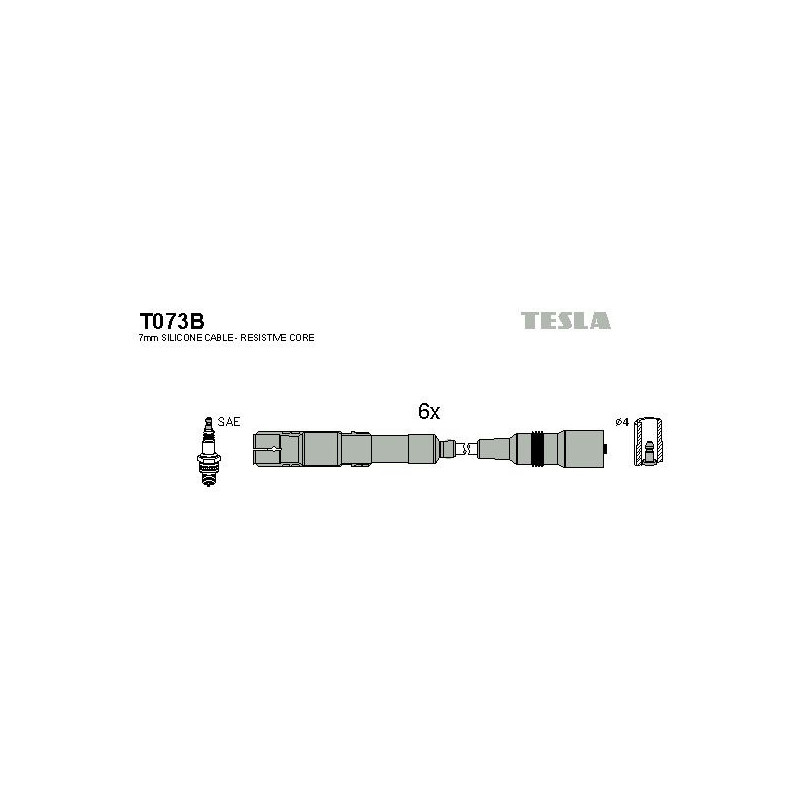 T073B-TESLA