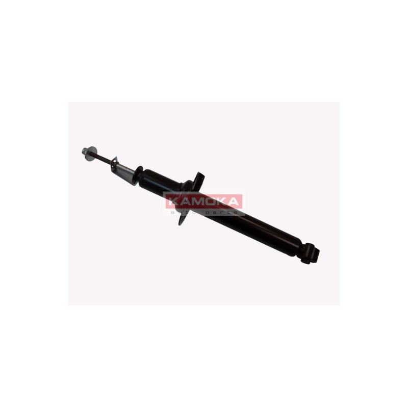 Amortizatorius