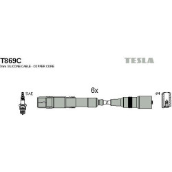 T869C-TESLA