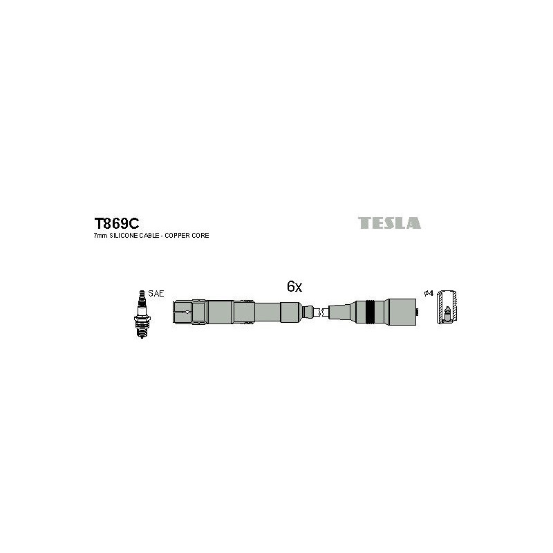 T869C-TESLA