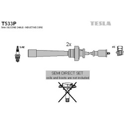 T533P-TESLA