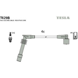 T629B-TESLA