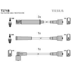 T271B-TESLA