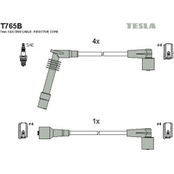 T765B-TESLA