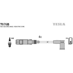 T076B-TESLA
