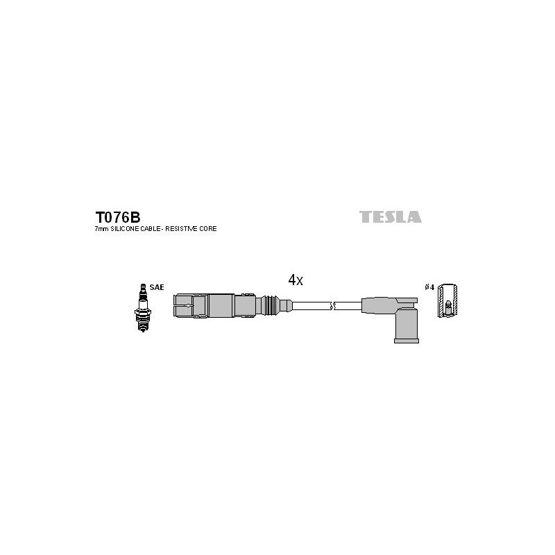 T076B-TESLA