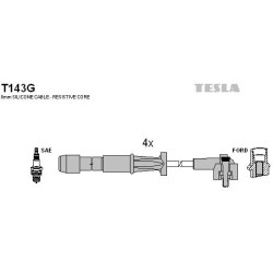 T143G-TESLA