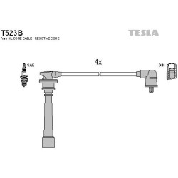 T523B-TESLA