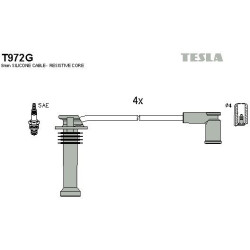 T972G-TESLA