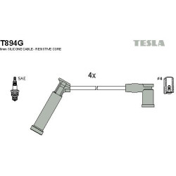 T894G-TESLA