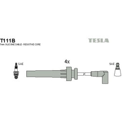 T111B-TESLA