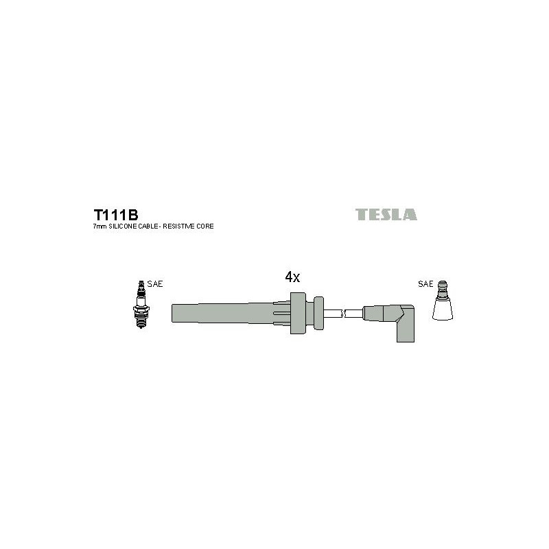 T111B-TESLA