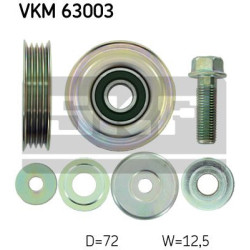 VKM 63003