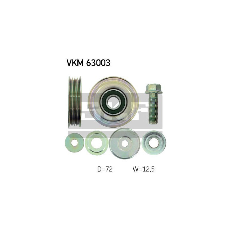 VKM 63003
