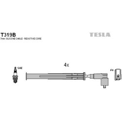 T319B-TESLA