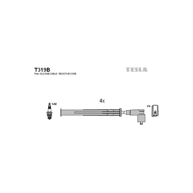 T319B-TESLA