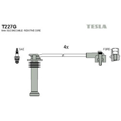 T227G-TESLA
