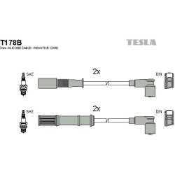 T178B-TESLA