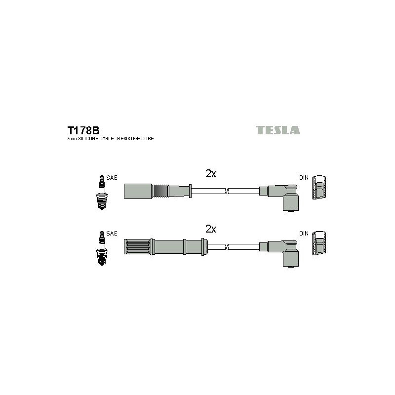 T178B-TESLA
