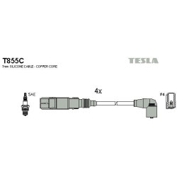 T855C-TESLA