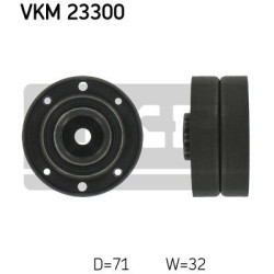 VKM 23300