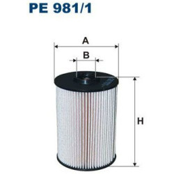 PE981/1-FTR