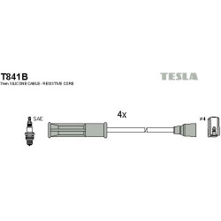 T841B-TESLA