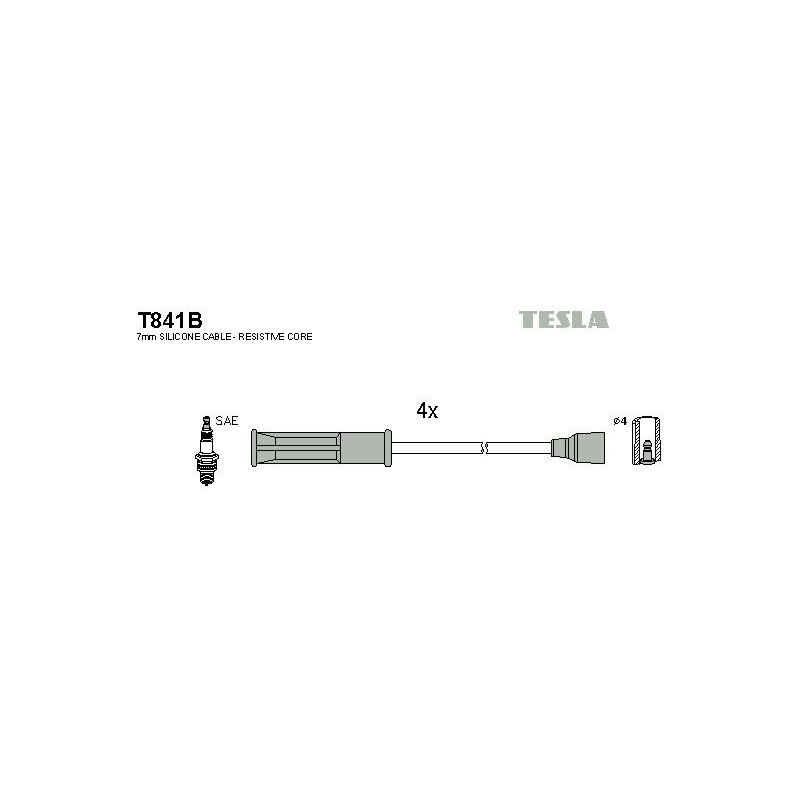 T841B-TESLA