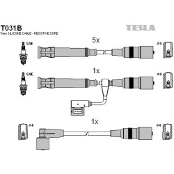T031B-TESLA